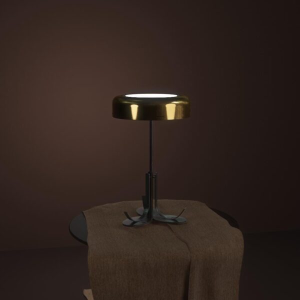 120701380_189197312729552_6733513569943487324_n