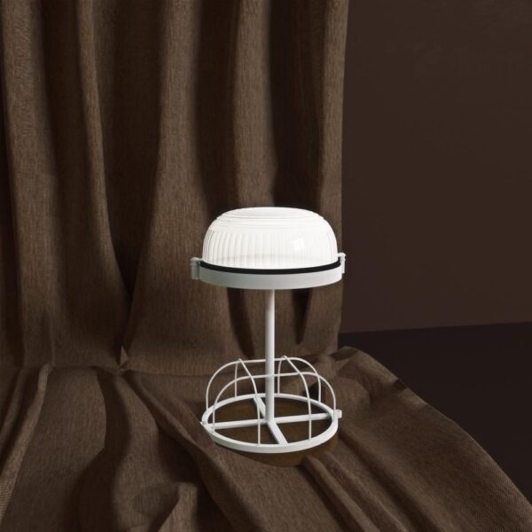 120727091_189197239396226_455995627948368504_n