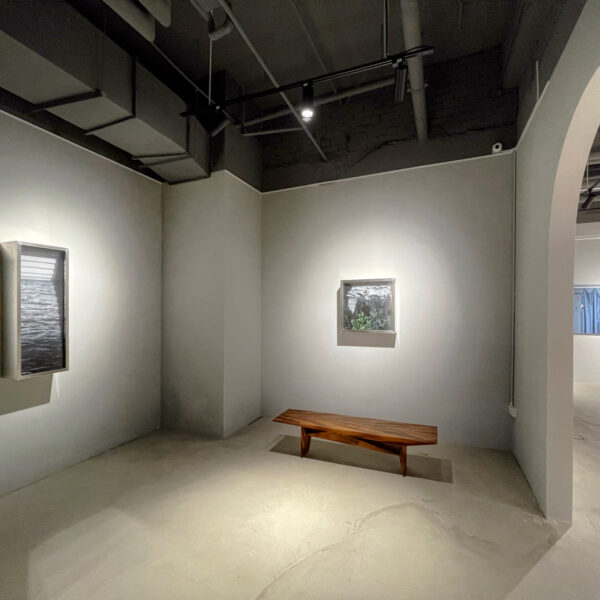 136050624_239407887708494_1887571507646195600_n